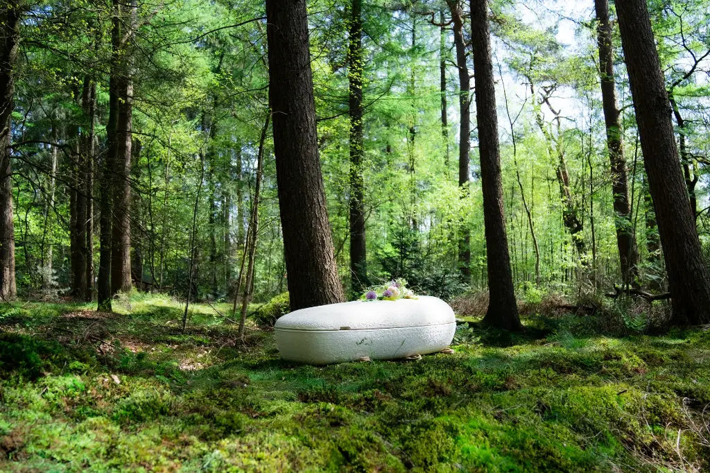 Living Cocoon™ Mushroom Casket