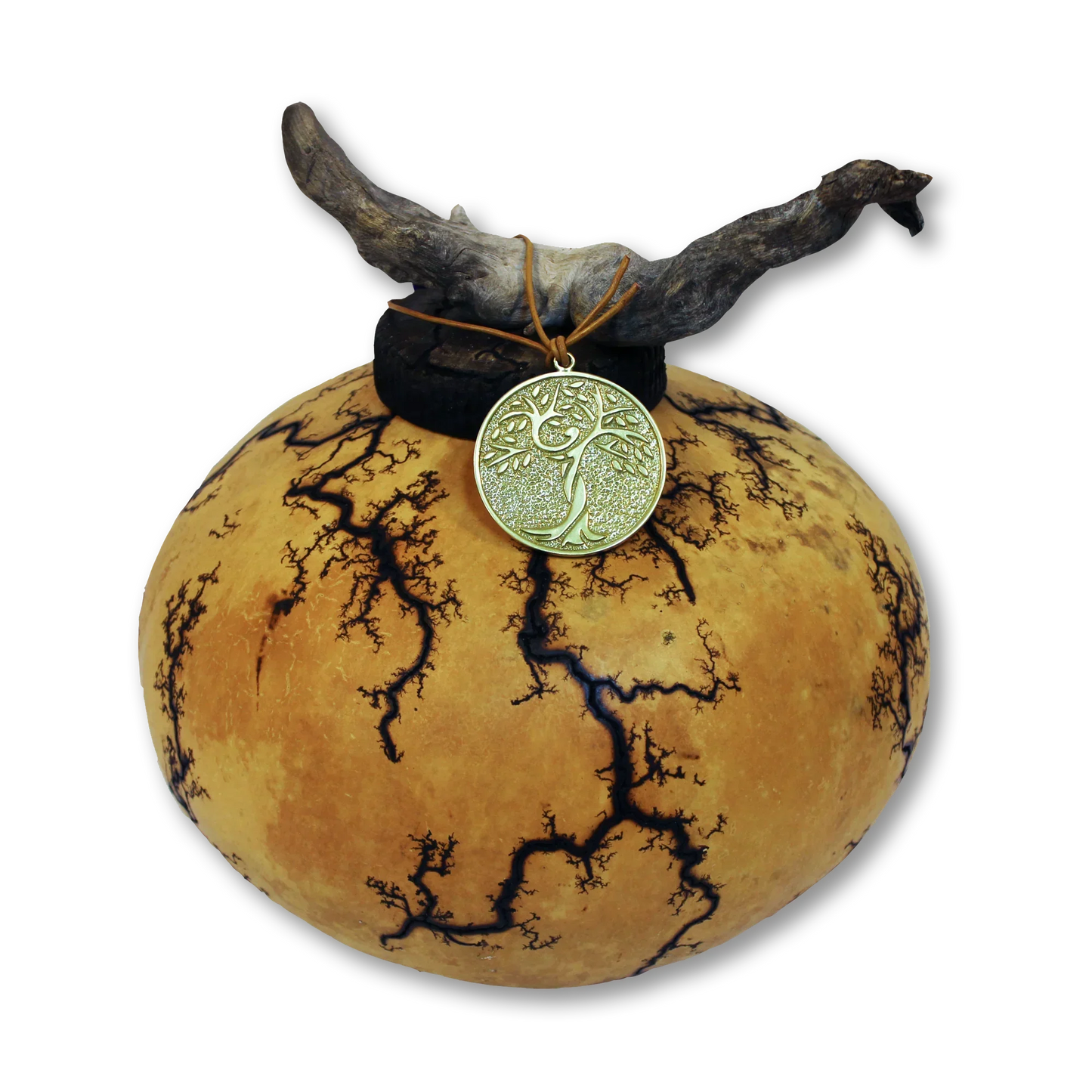Sacred Seed – Natural Gourd Urn (Multiple Sizes) - Eco Casket Co.
