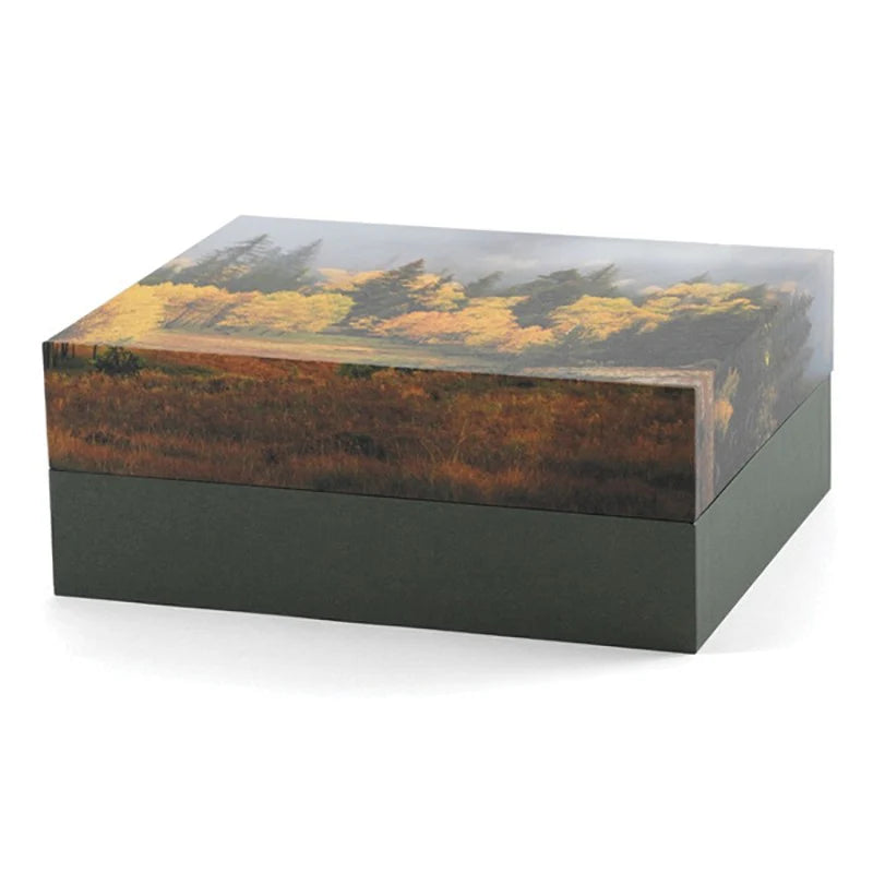 🍂 Explorer Scattering Urn – Misty Autumn
