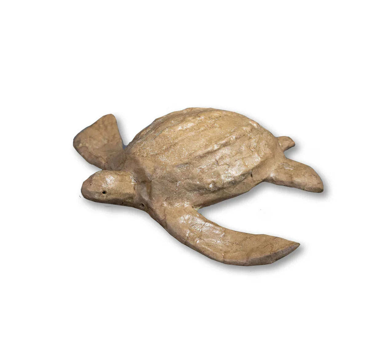 Turtle Urn – Biodegradable Water Burial Urn (Standard & Mini Sizes) - Eco Casket Co.