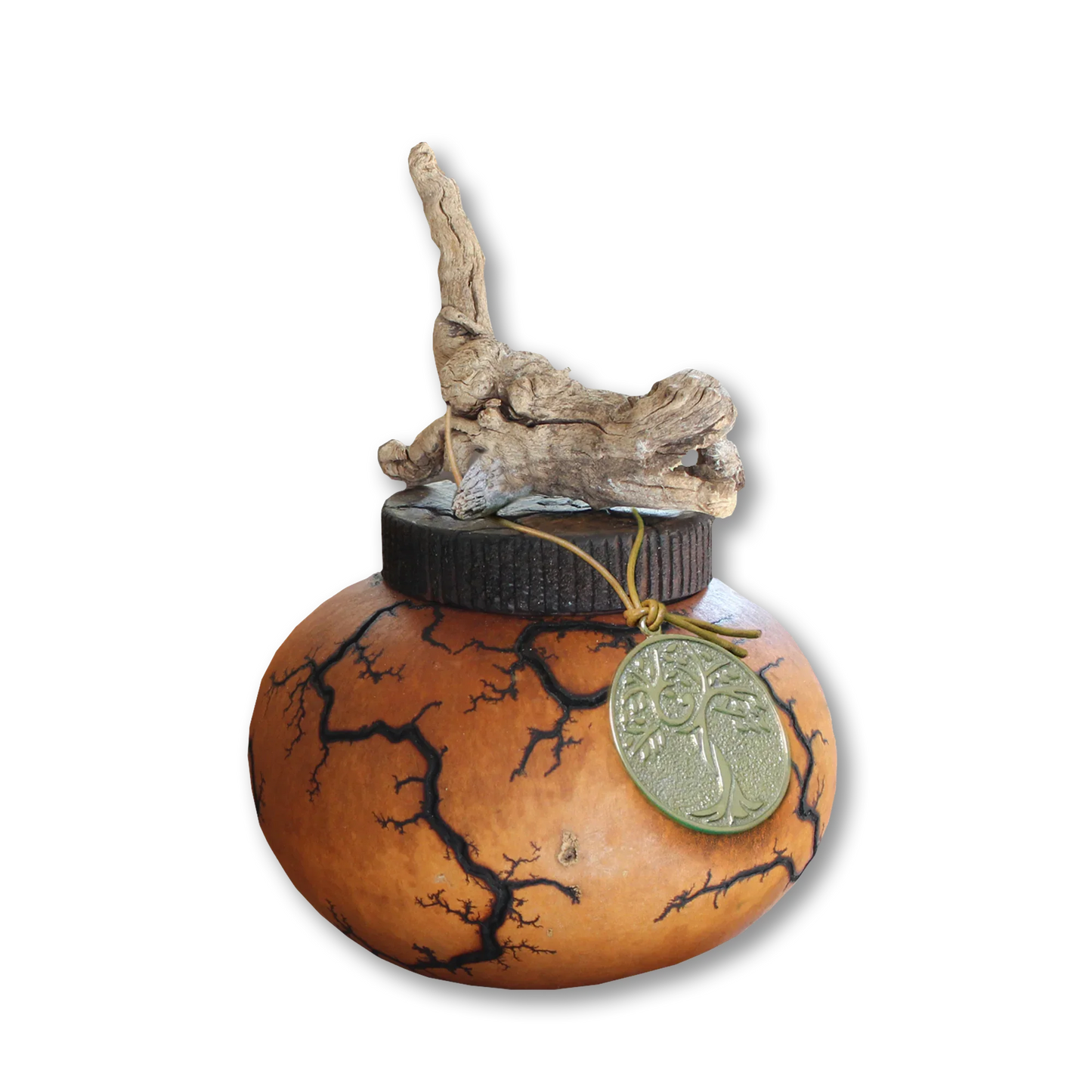 Sacred Seed – Natural Gourd Urn (Multiple Sizes) - Eco Casket Co.