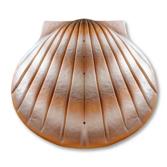 Seaborn Shell Urn | Biodegradable Water Ceremony Urn - Eco Casket Co.