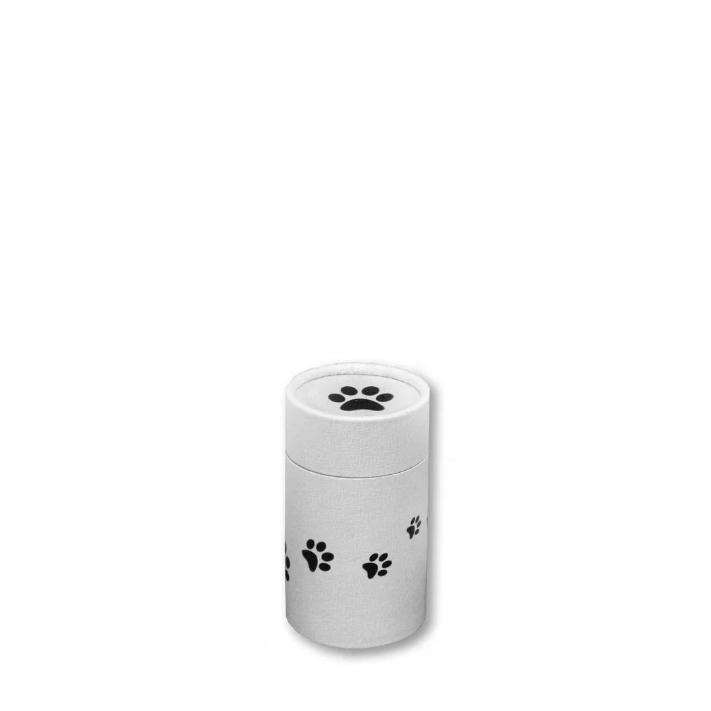Precious Paws Scattering Tube (Available in Small, Medium, Large) - Eco Casket Co.