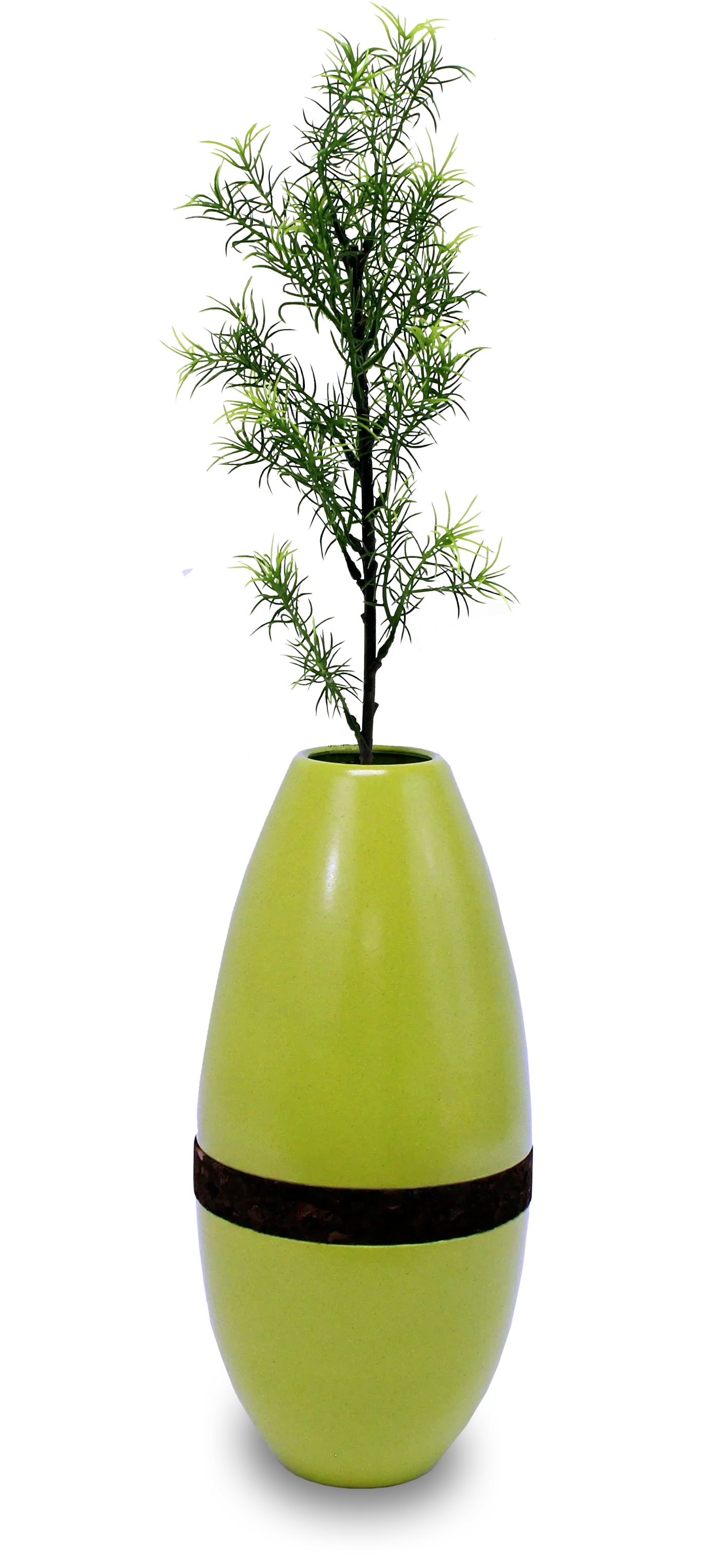 Biotree Urn – Living Tree Biodegradable Memorial - Eco Casket Co.