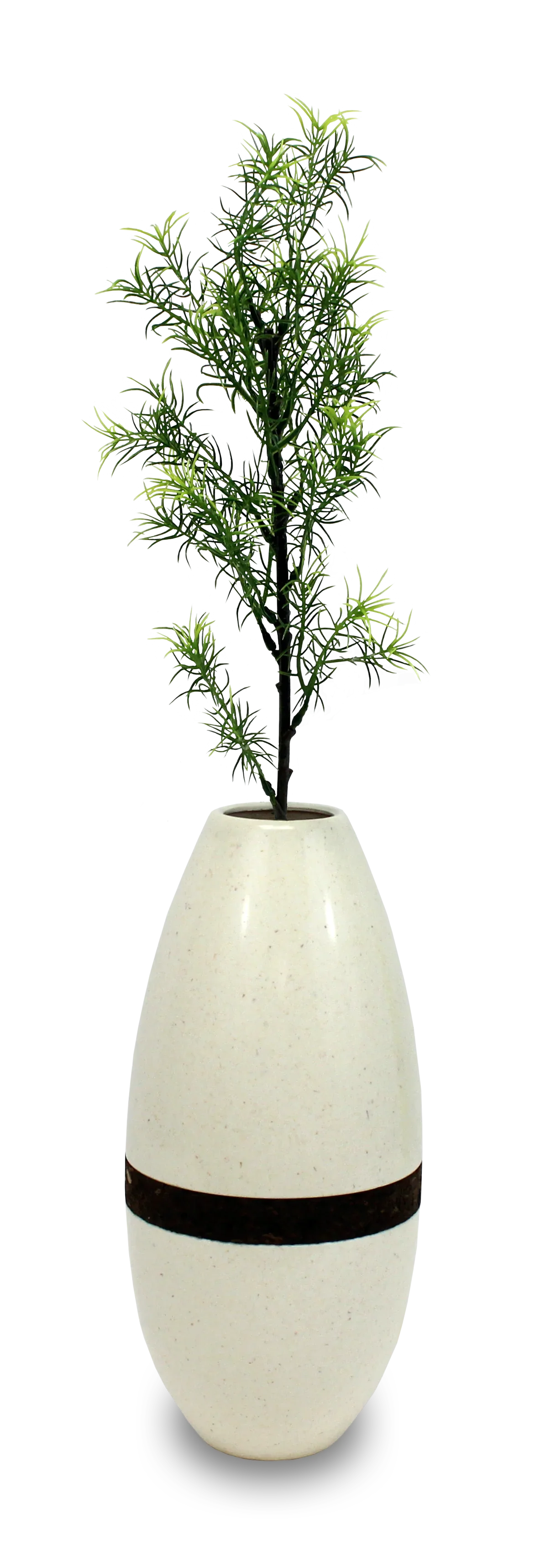 Biotree Urn – Living Tree Biodegradable Memorial - Eco Casket Co.