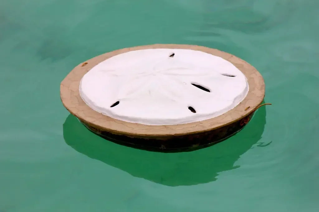 Seabreeze Sand Dollar Urn | Biodegradable Water Ceremony Urn - Eco Casket Co.