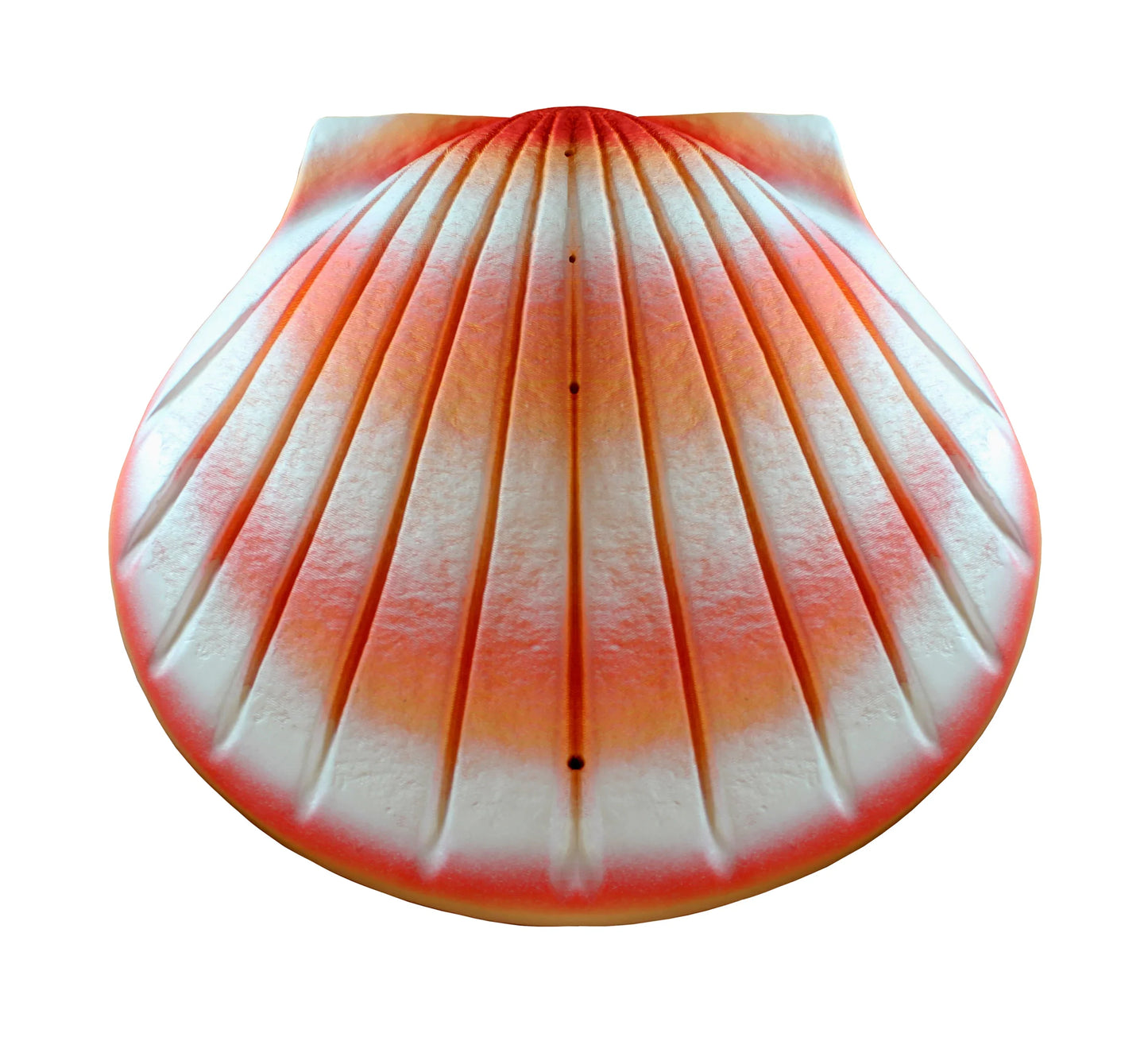 Shell Urn – Coral Biodegradable Water Burial Urn - Eco Casket Co.