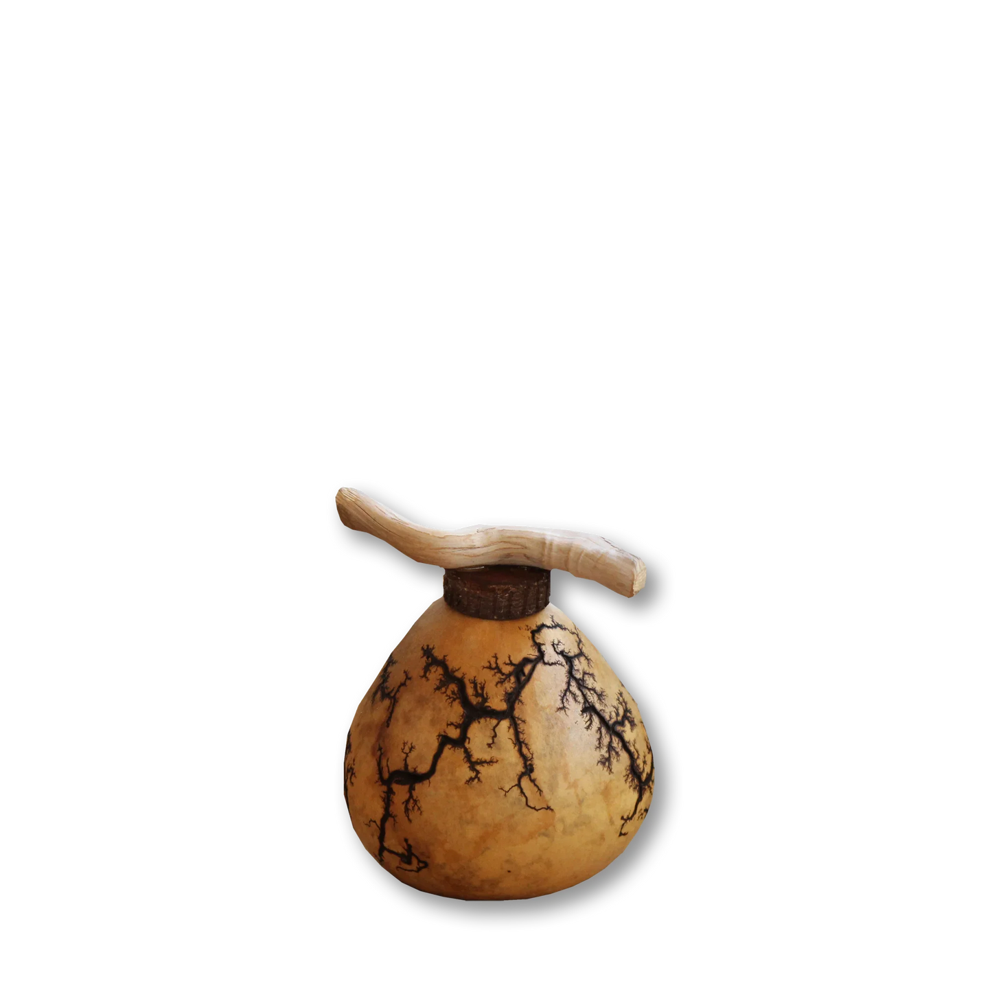 Sacred Seed – Natural Gourd Urn (Multiple Sizes) - Eco Casket Co.