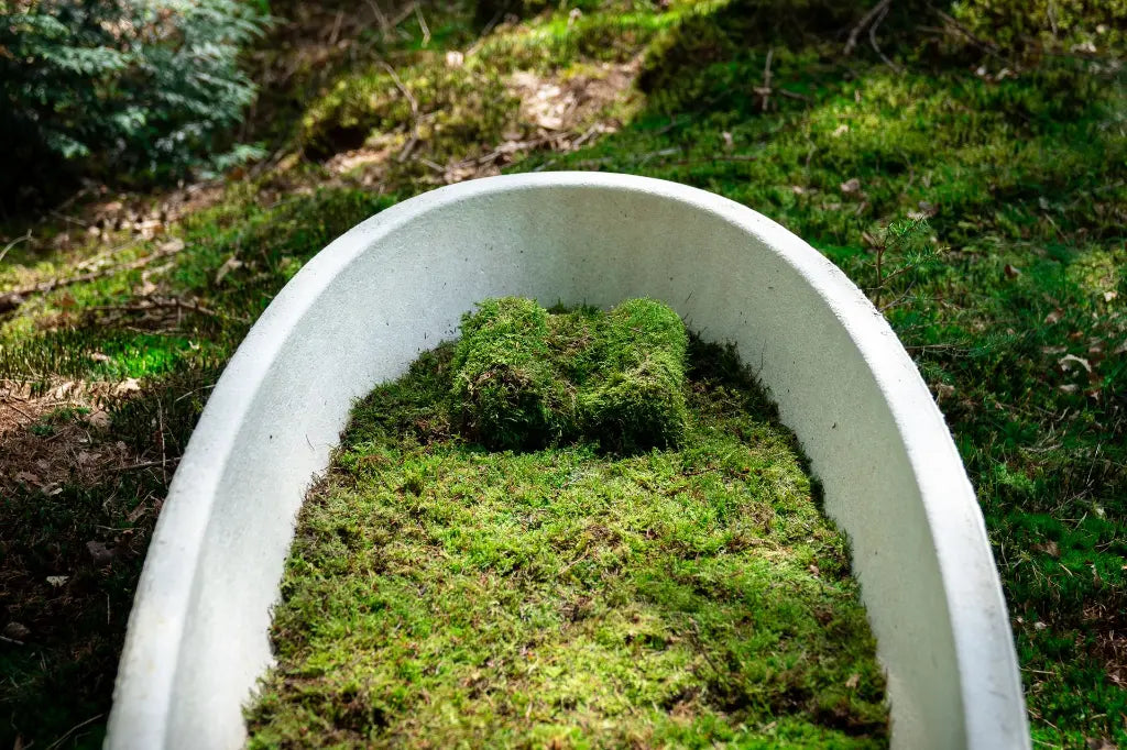 Living Cocoon™ Mushroom Casket