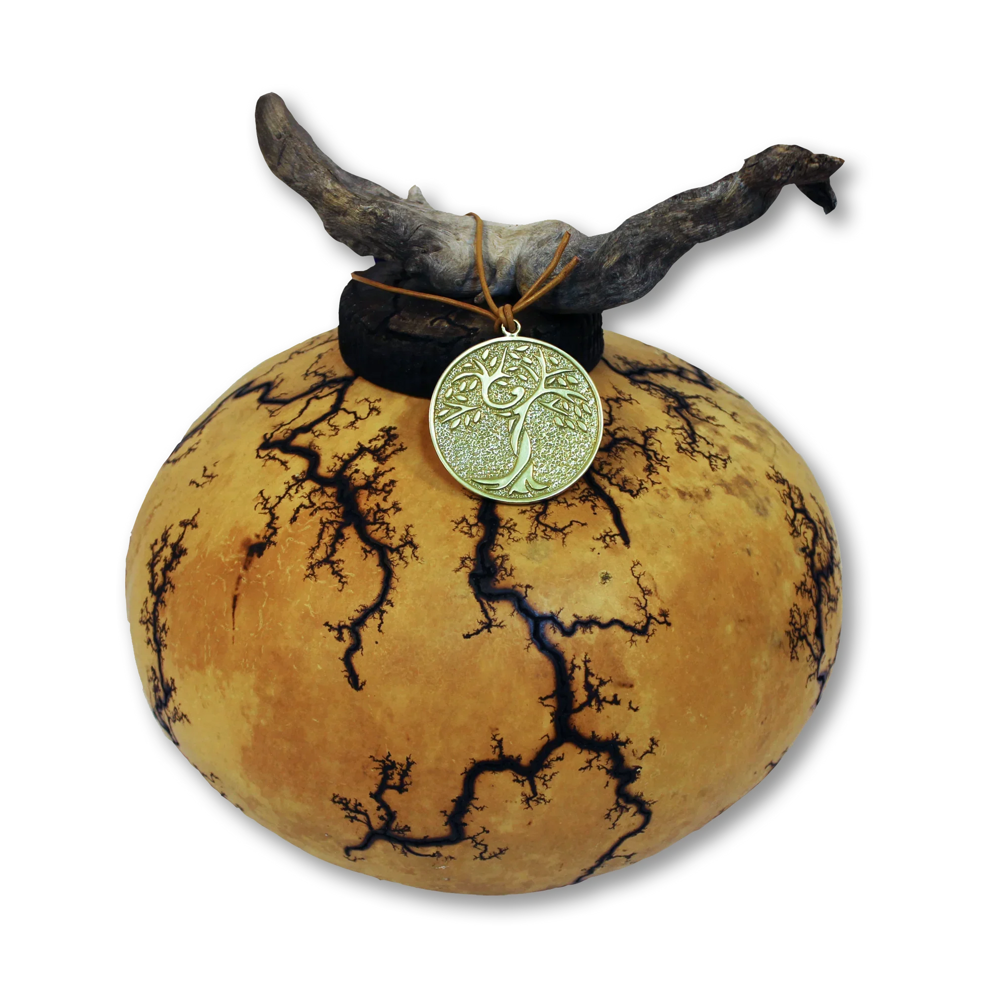 Sacred Seed – Natural Gourd Urn (Multiple Sizes) - Eco Casket Co.