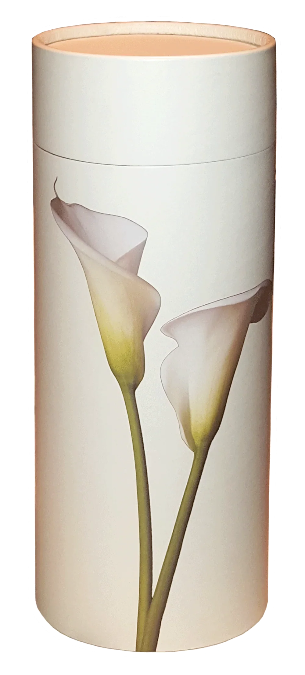 Lily Scattering Tube – Biodegradable Urn for Purity and Grace - Eco Casket Co.