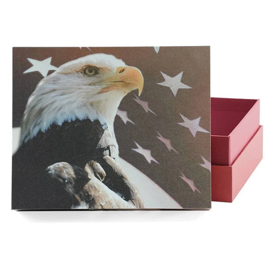 Explorer Scattering Urn – Freedom