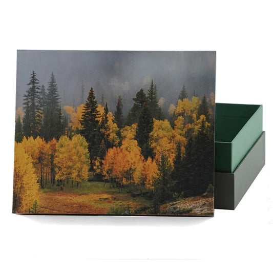 Decorative box with a forest design featuring yellow and green trees on a white background