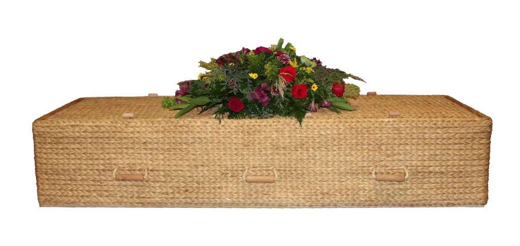 Haven Natural Leaf Casket