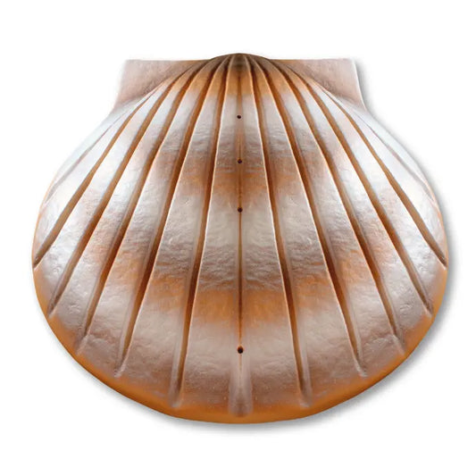 Seaborn Shell Urn | Biodegradable Water Ceremony Urn
