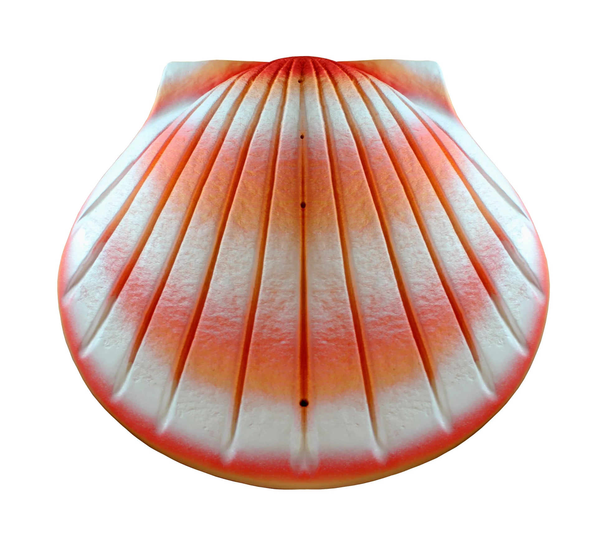 Shell Urn – Coral Biodegradable Water Burial Urn - Eco Casket Co.