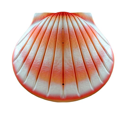 Shell Urn – Coral Biodegradable Water Burial Urn - Eco Casket Co.
