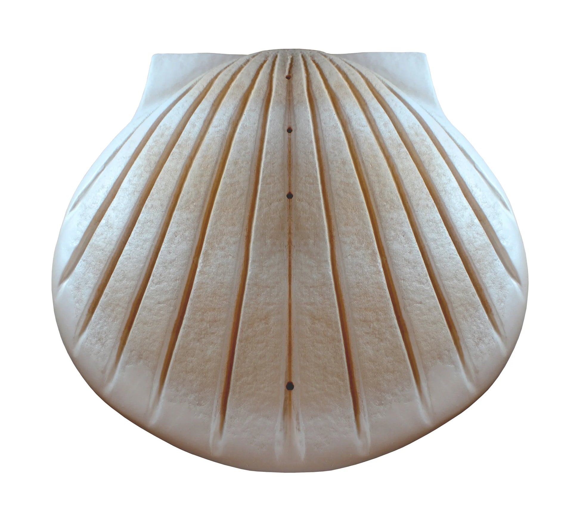 Shell Urn – White Biodegradable Water Burial Urn - Eco Casket Co.