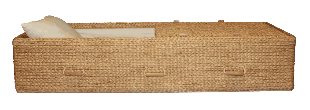 Haven Natural Leaf Casket