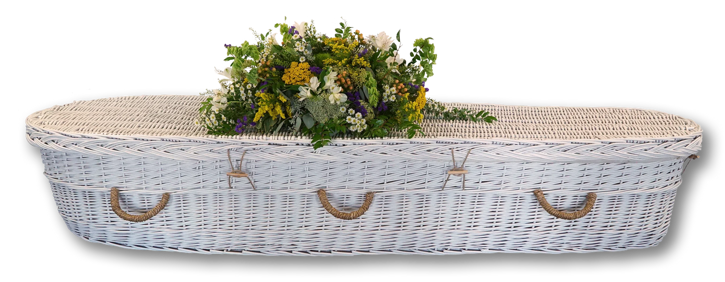 White Willow Biodegradable Casket – Adult Sizes - Eco Casket Co.