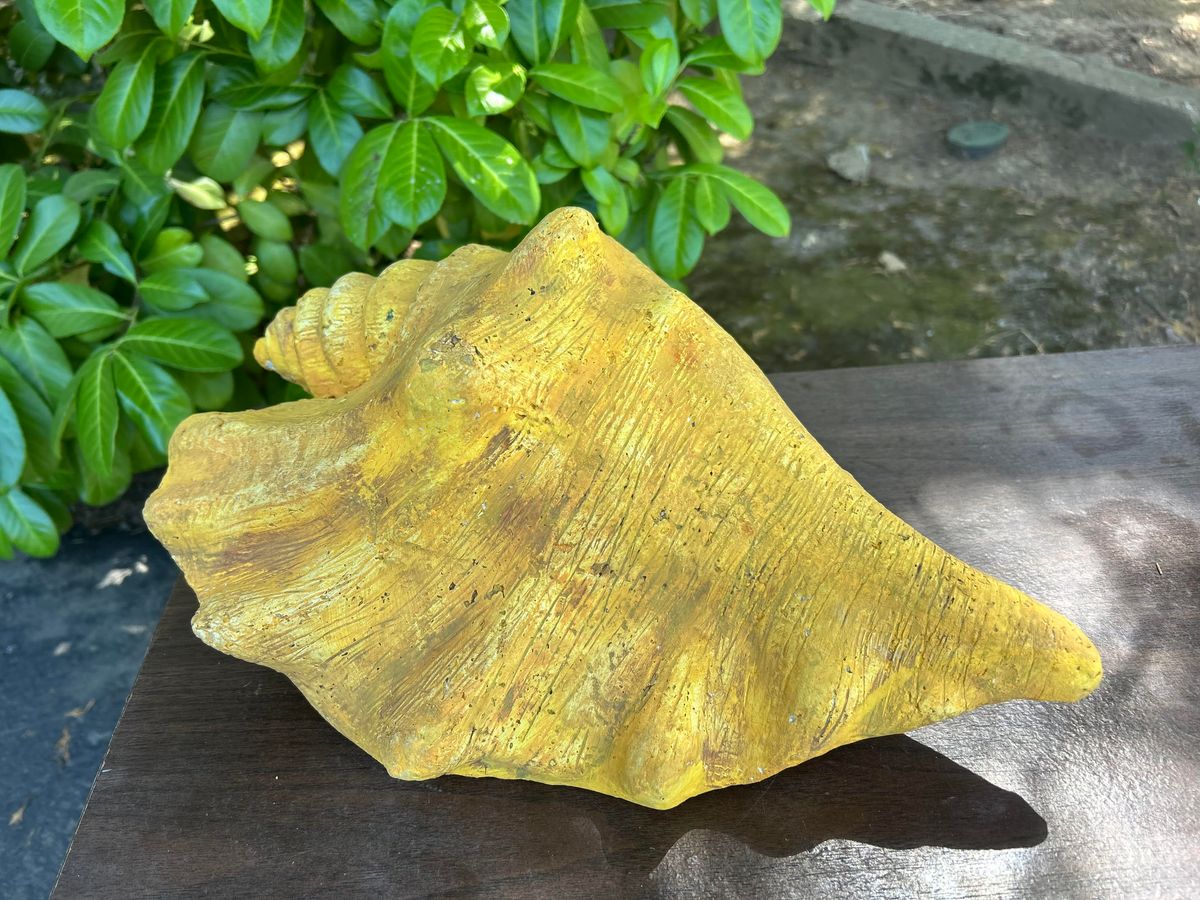 Golden Conch Water Urn – Biodegradable Ocean Burial Urn (16” Yellow Shell)