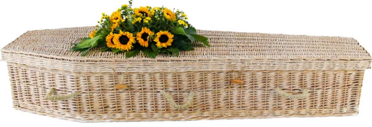 Whitewash Willow Six-Point Casket – Eco Green Burial (Sierra Series)